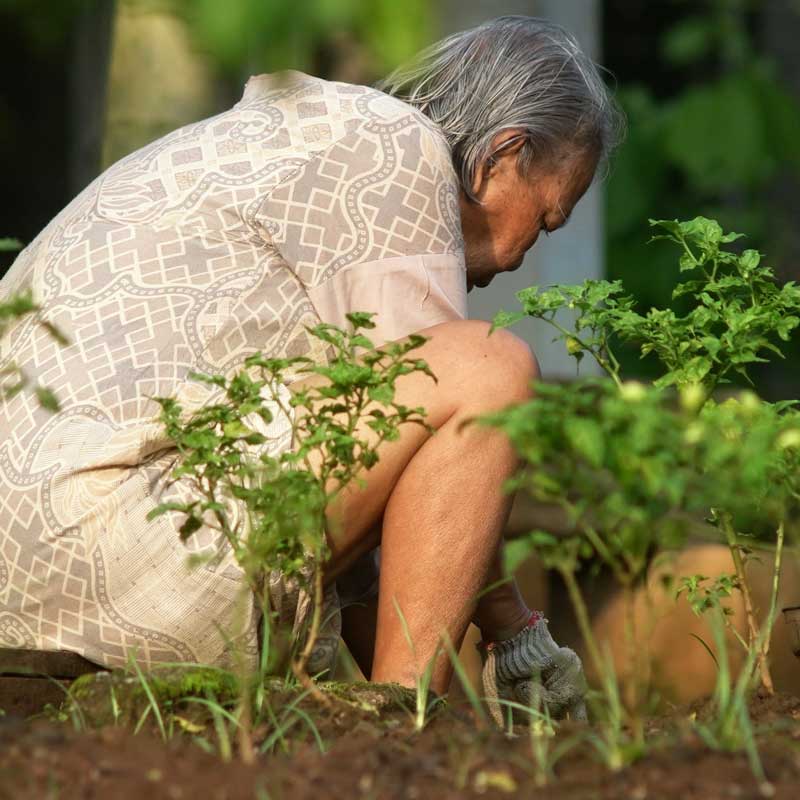 Peut-on vivre jusqu’à 100 ans et en bonne santé ?