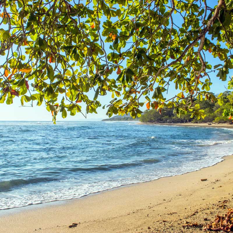 La péninsule de Nicoya au Costa Rica, faisant partie des Zones Bleues