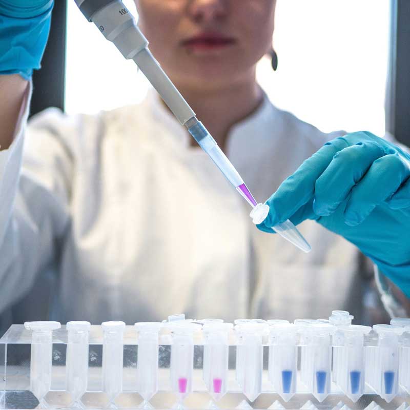 Laboratoire pour fabriquer des souches de viandes
